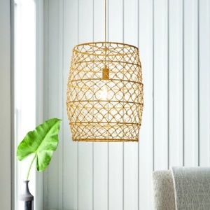 Leanne Ford Project 62 Light